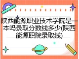 陕西能源职业技术学院是一本吗录取分数线多少(陕西能源职院录取线)
