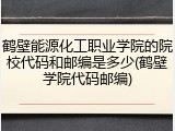 鹤壁能源化工职业学院的院校代码和邮编是多少(鹤壁学院代码邮编)
