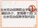 北京劳动保障职业学院招生编码多少，隶属哪个部门(北京劳动保障学院代码)