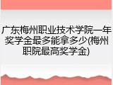 广东梅州职业技术学院一年奖学金最多能拿多少(梅州职院最高奖学金)