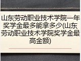 山东劳动职业技术学院一年奖学金最多能拿多少(山东劳动职业技术学院奖学金最高金额)