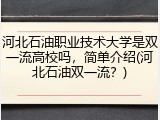 河北石油职业技术大学是双一流高校吗，简单介绍(河北石油双一流？)