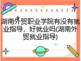 湖南外贸职业学院有没有就业指导，好就业吗(湖南外贸就业指导)