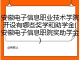 安徽电子信息职业技术学院开设有哪些奖学和助学金(安徽电子信息职院奖助学金)