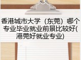 香港城市大学（东莞）哪个专业毕业就业前景比较好(港莞好就业专业)