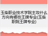玉柴职业技术学院主攻什么方向有哪些王牌专业(玉柴职院王牌专业)