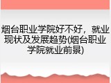 烟台职业学院好不好，就业现状及发展趋势(烟台职业学院就业前景)