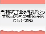 天津滨海职业学院要多少分才能进(天津滨海职业学院录取分数线)