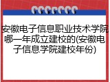 安徽电子信息职业技术学院哪一年成立建校的(安徽电子信息学院建校年份)