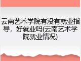 云南艺术学院有没有就业指导，好就业吗(云南艺术学院就业情况)