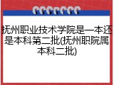 抚州职业技术学院是一本还是本科第二批(抚州职院属本科二批)