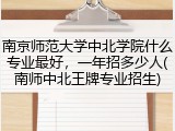 南京师范大学中北学院什么专业最好，一年招多少人(南师中北王牌专业招生)