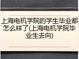 上海电机学院的学生毕业都怎么样了(上海电机学院毕业生去向)