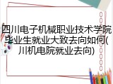 四川电子机械职业技术学院毕业生就业大致去向如何(川机电院就业去向)