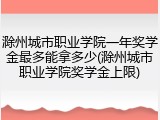 滁州城市职业学院一年奖学金最多能拿多少(滁州城市职业学院奖学金上限)