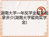 湖南大学一年奖学金最多能拿多少(湖南大学最高奖学金)