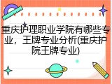 重庆护理职业学院有哪些专业，王牌专业分析(重庆护院王牌专业)