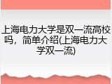 上海电力大学是双一流高校吗，简单介绍(上海电力大学双一流)