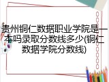 贵州铜仁数据职业学院是一本吗录取分数线多少(铜仁数据学院分数线)