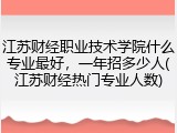 江苏财经职业技术学院什么专业最好，一年招多少人(江苏财经热门专业人数)