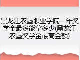 黑龙江农垦职业学院一年奖学金最多能拿多少(黑龙江农垦奖学金最高金额)