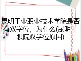 昆明工业职业技术学院是否有双学位，为什么(昆明工职院双学位原因)