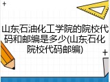 山东石油化工学院的院校代码和邮编是多少(山东石化院校代码邮编)