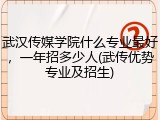 武汉传媒学院什么专业最好，一年招多少人(武传优势专业及招生)