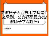 安徽扬子职业技术学院是什么级别，公办还是民办(安徽扬子学院性质)