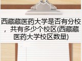 西藏藏医药大学是否有分校，共有多少个校区(西藏藏医药大学校区数量)