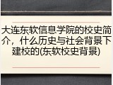 大连东软信息学院的校史简介，什么历史与社会背景下建校的(东软校史背景)