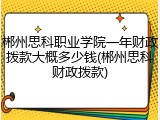 郴州思科职业学院一年财政拨款大概多少钱(郴州思科财政拨款)