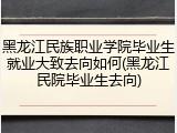 黑龙江民族职业学院毕业生就业大致去向如何(黑龙江民院毕业生去向)