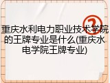 重庆水利电力职业技术学院的王牌专业是什么(重庆水电学院王牌专业)