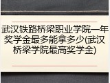 武汉铁路桥梁职业学院一年奖学金最多能拿多少(武汉桥梁学院最高奖学金)