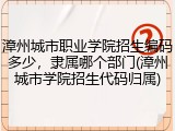 漳州城市职业学院招生编码多少，隶属哪个部门(漳州城市学院招生代码归属)