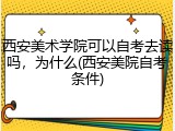 西安美术学院可以自考去读吗，为什么(西安美院自考条件)