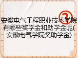 安徽电气工程职业技术学院有哪些奖学金和助学金呢(安徽电气学院奖助学金)