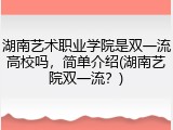 湖南艺术职业学院是双一流高校吗，简单介绍(湖南艺院双一流？)