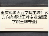 重庆能源职业学院主攻什么方向有哪些王牌专业(能源学院王牌专业)