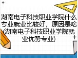 湖南电子科技职业学院什么专业就业比较好，原因是啥(湖南电子科技职业学院就业优势专业)