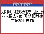 沈阳城市建设学院毕业生就业大致去向如何(沈阳城建学院就业去向)