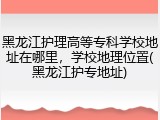 黑龙江护理高等专科学校地址在哪里，学校地理位置(黑龙江护专地址)