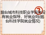 烟台城市科技职业学院有没有就业指导，好就业吗(烟台科技学院就业情况)