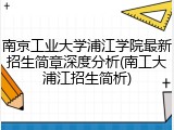 南京工业大学浦江学院最新招生简章深度分析(南工大浦江招生简析)