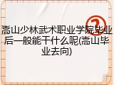 嵩山少林武术职业学院毕业后一般能干什么呢(嵩山毕业去向)