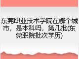 东莞职业技术学院在哪个城市，是本科吗，第几批(东莞职院批次学历)