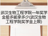 武汉生物工程学院一年奖学金最多能拿多少(武汉生物工程学院奖学金上限)