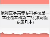 漯河医学高等专科学校是一本还是本科第二批(漯河医专属几本)