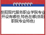 岳阳现代服务职业学院专业开设有哪些,特色在哪(岳阳职院专业特色)